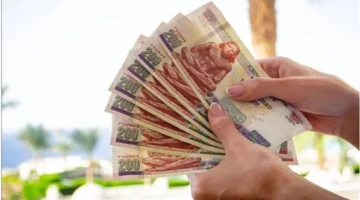 البنوك تطرح شهادات ادخار بعوائد 21% بعد قرار تثبيت أسعار الفائدة